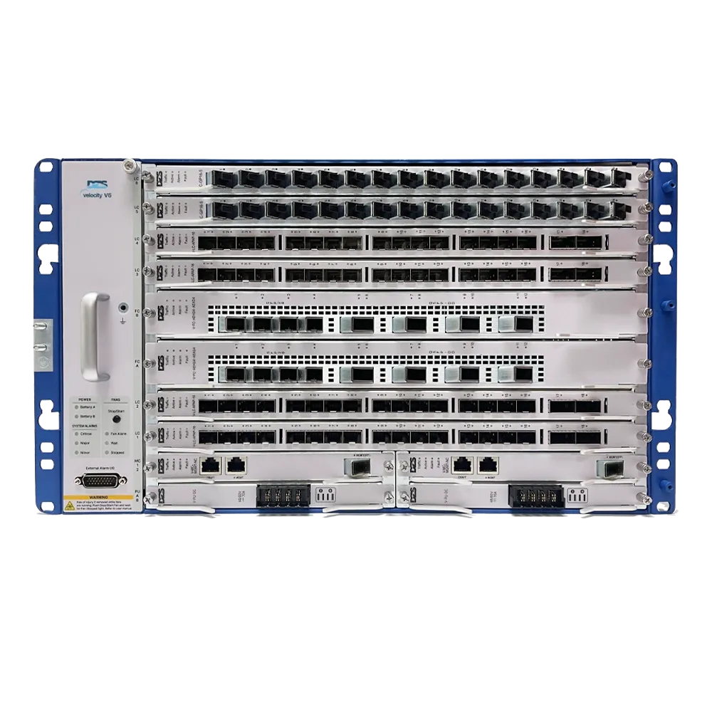 DZS V6 datasheet