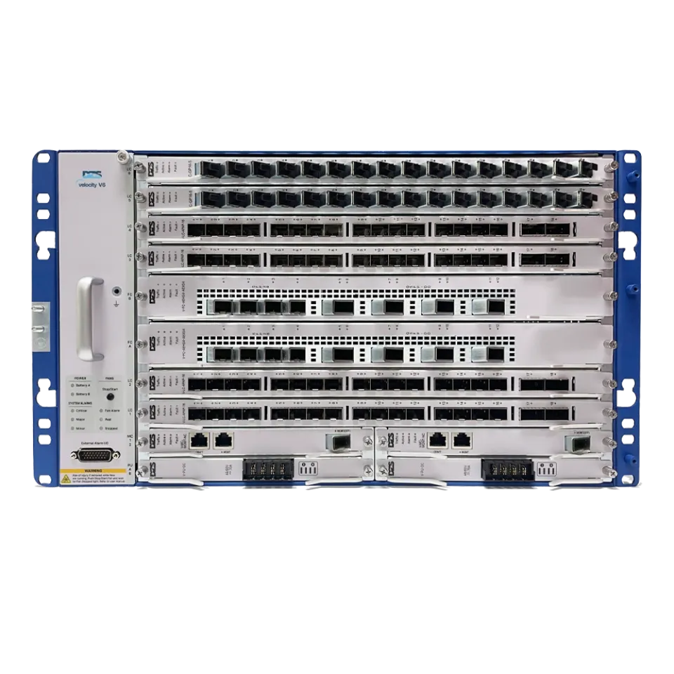 DZS V6 datasheet